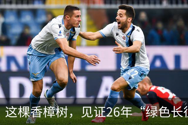 这棵香樟树，见证26年“绿色长征”